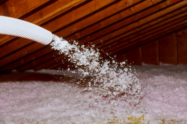 Best Basement Insulation  in Cedar Heights, MD